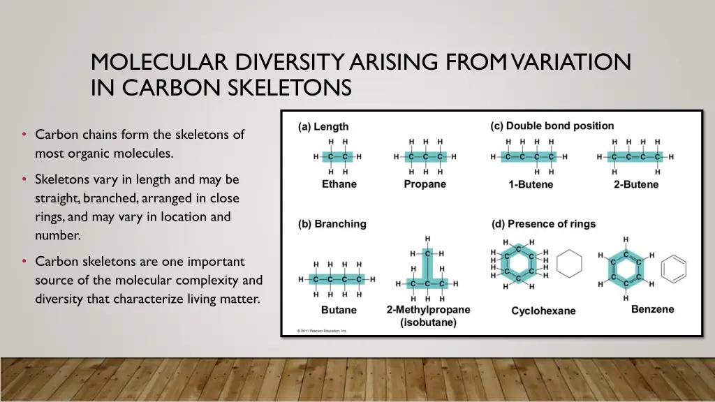 molecular diversity arising from variation