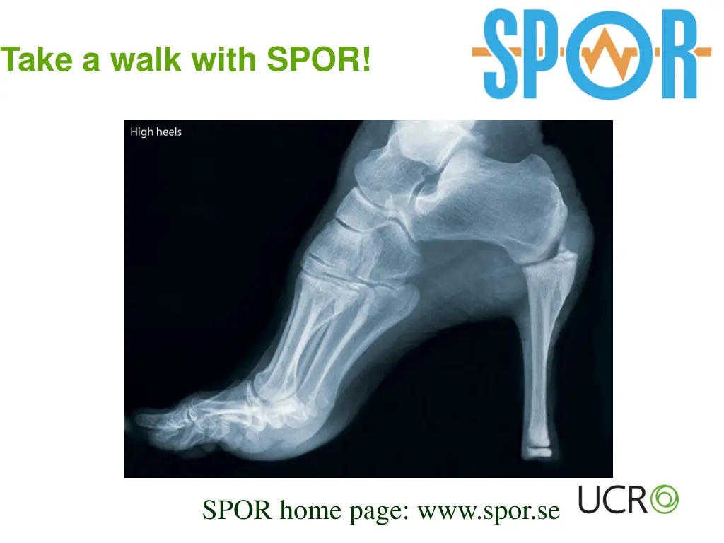 take a walk with spor