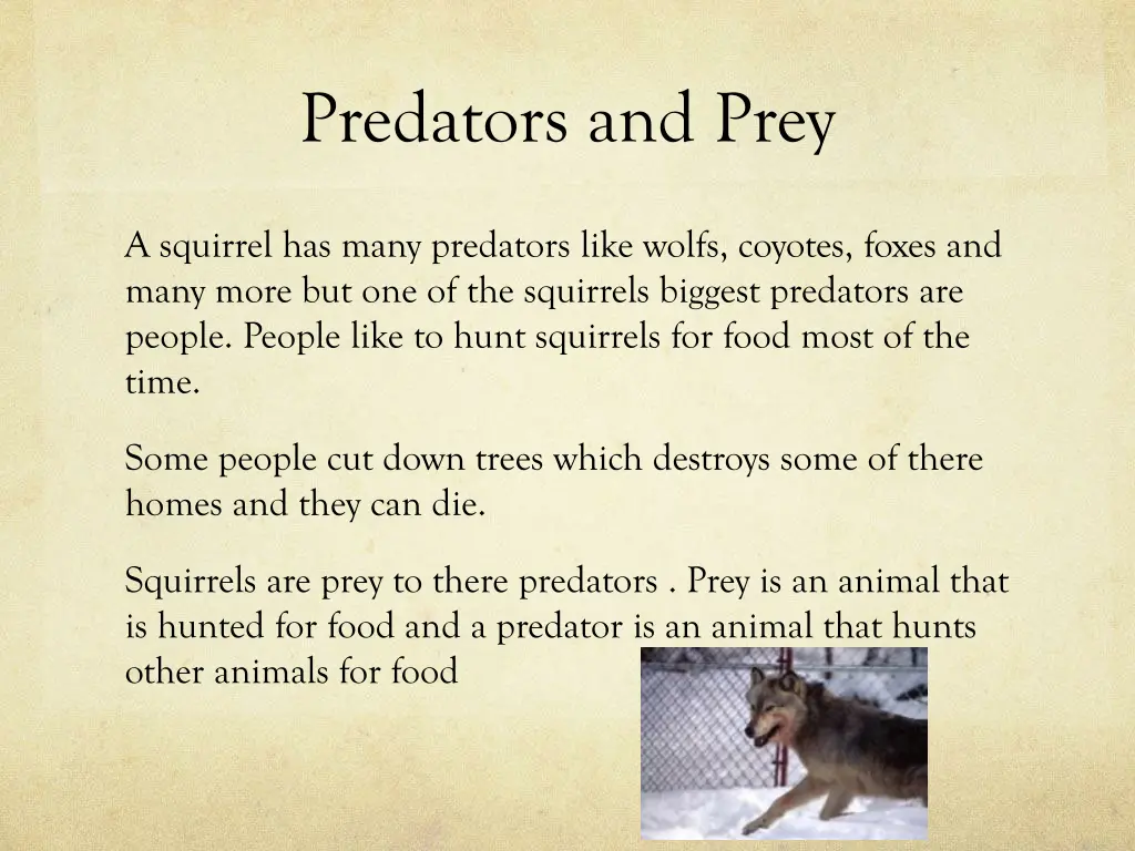 predators and prey