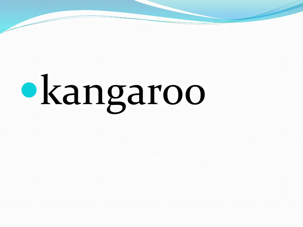 kangaroo