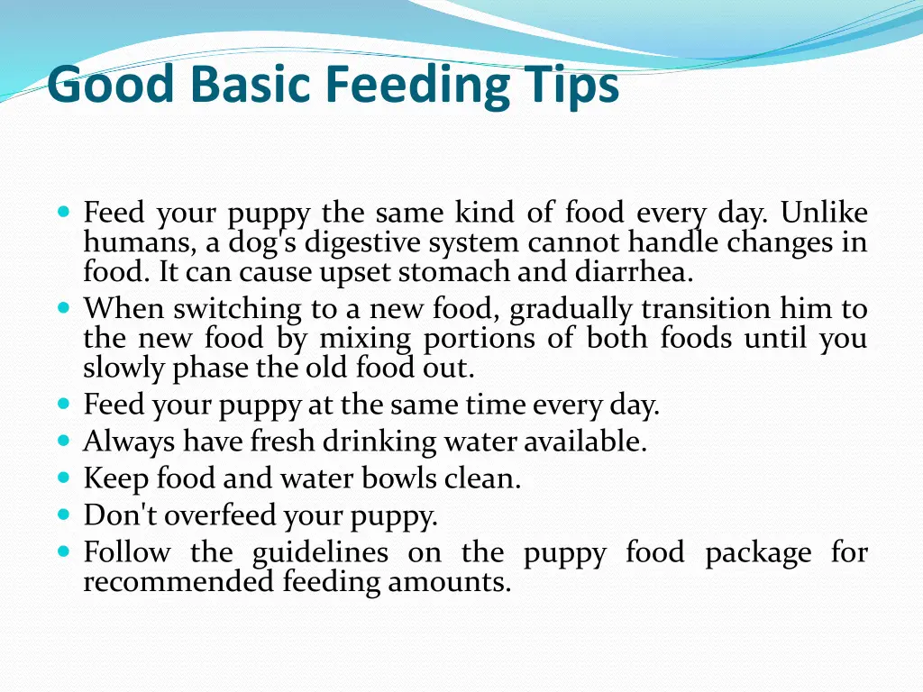 good basic feeding tips