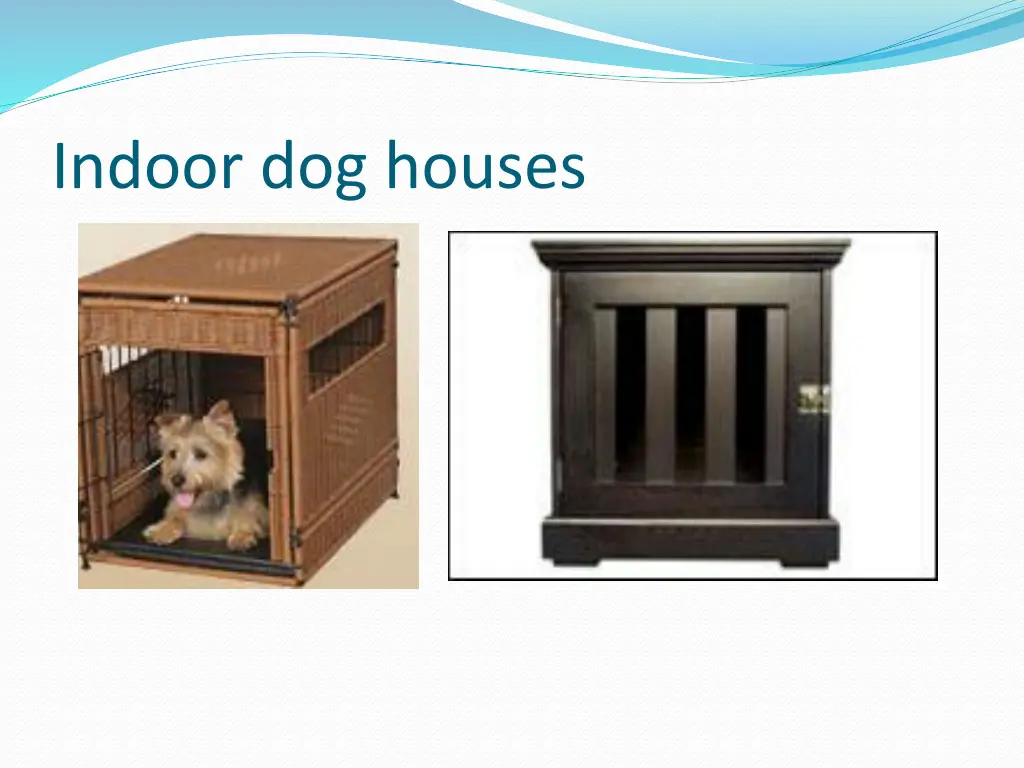 indoor dog houses 2