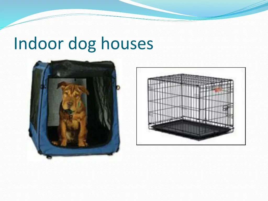 indoor dog houses