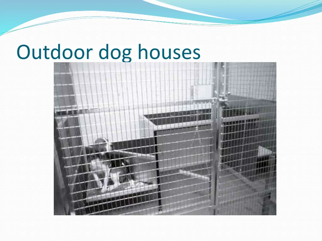 outdoor dog houses 1