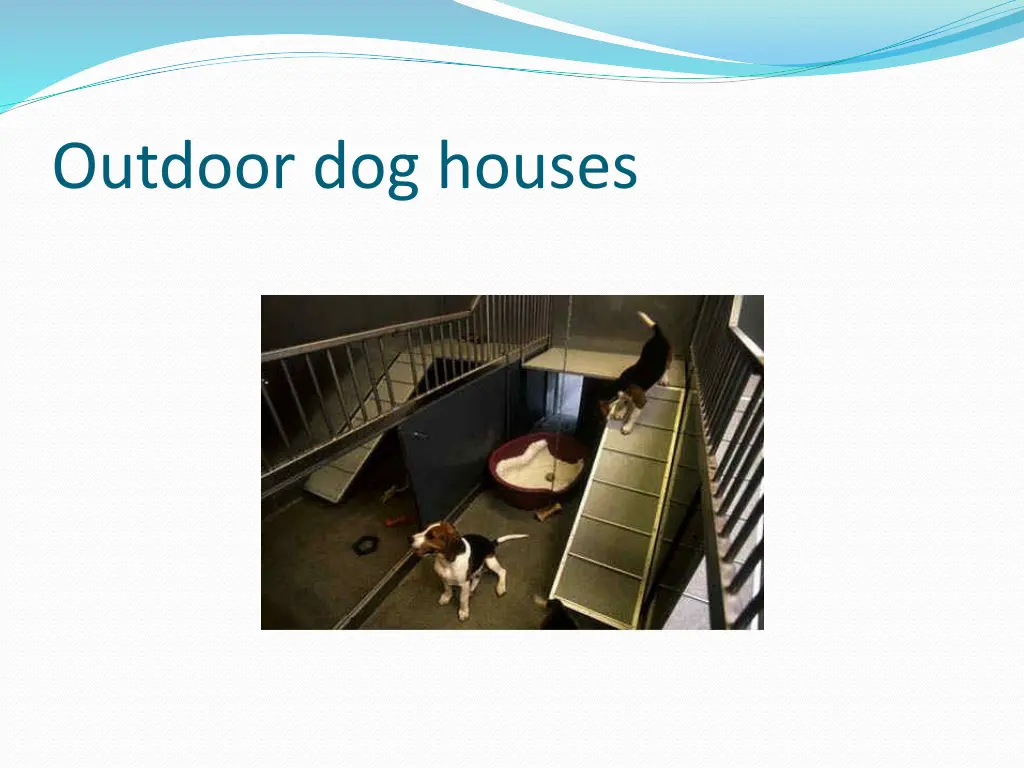 outdoor dog houses 2