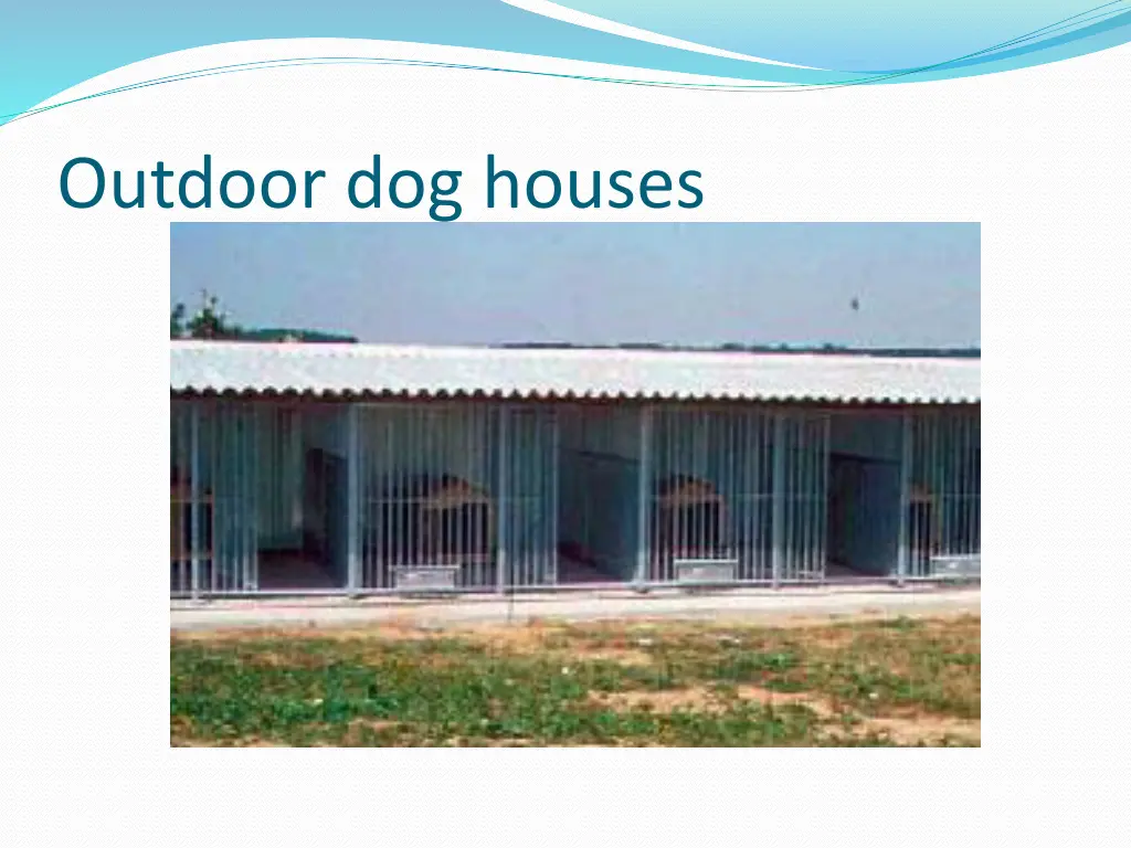 outdoor dog houses