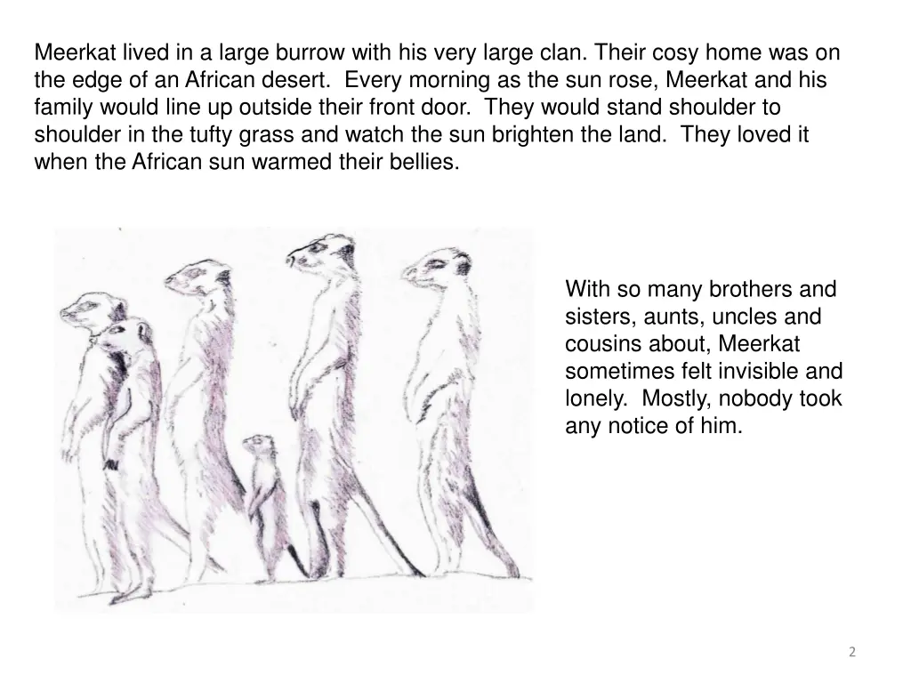 meerkat lived in a large burrow with his very