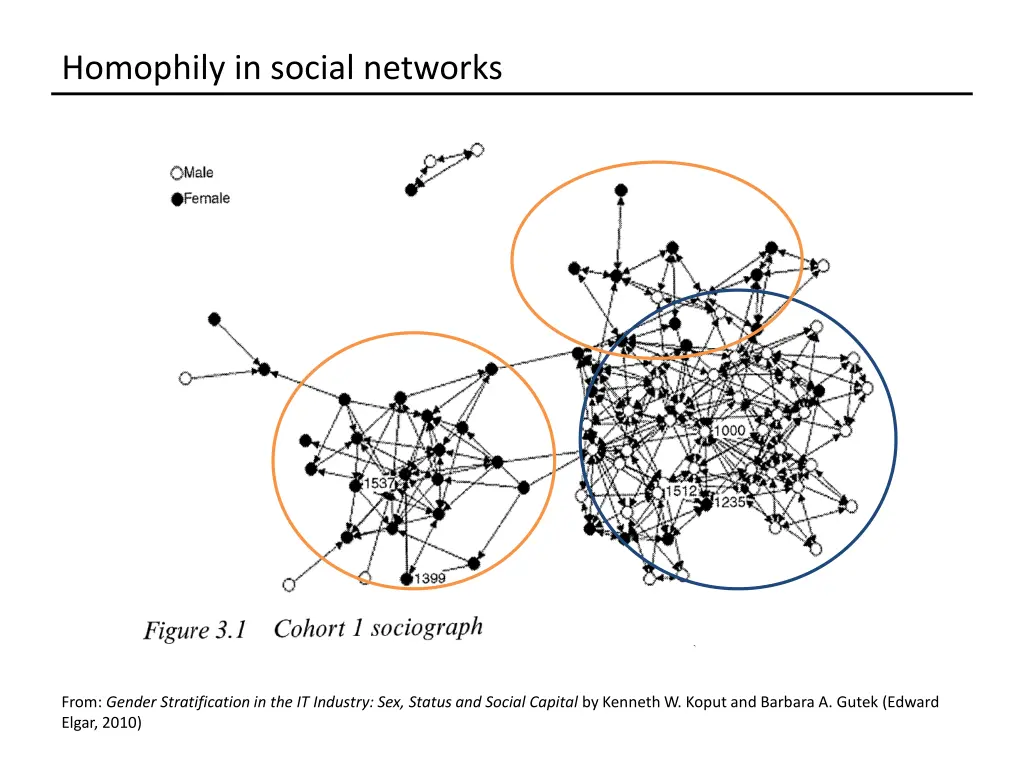 homophily in social networks 1