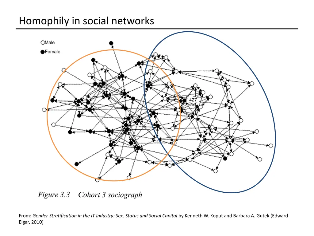 homophily in social networks 2