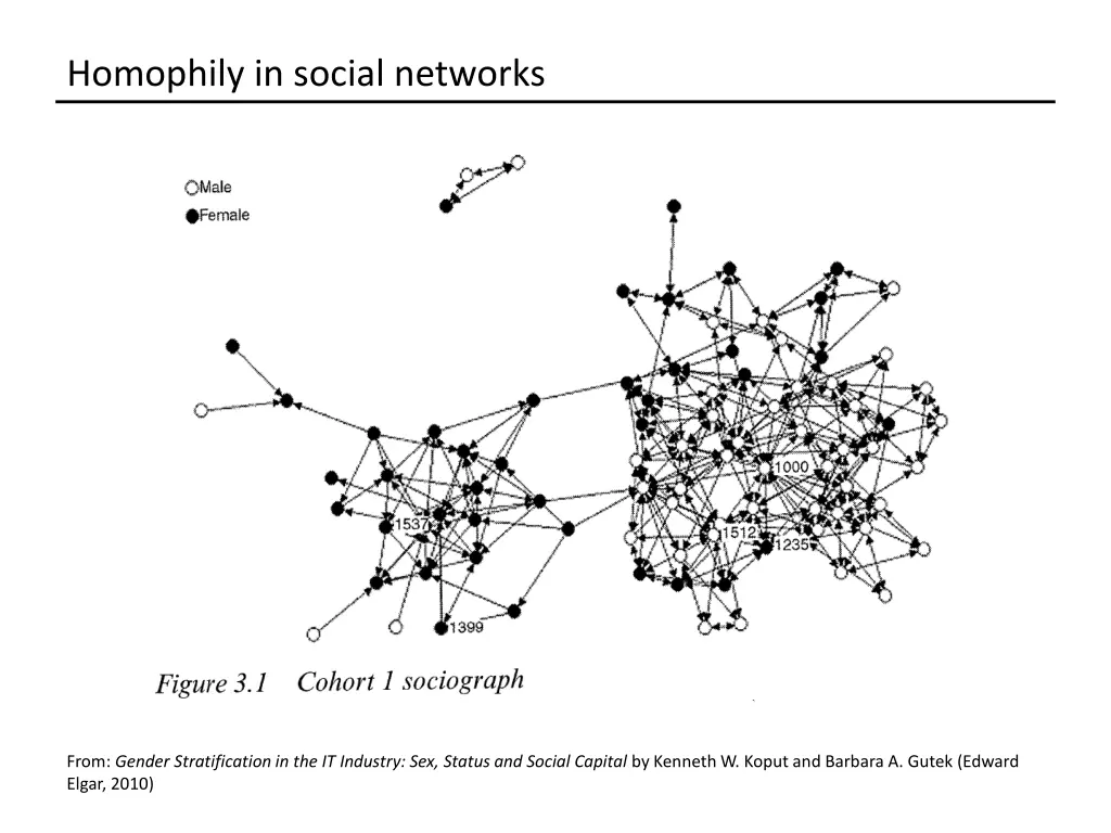 homophily in social networks