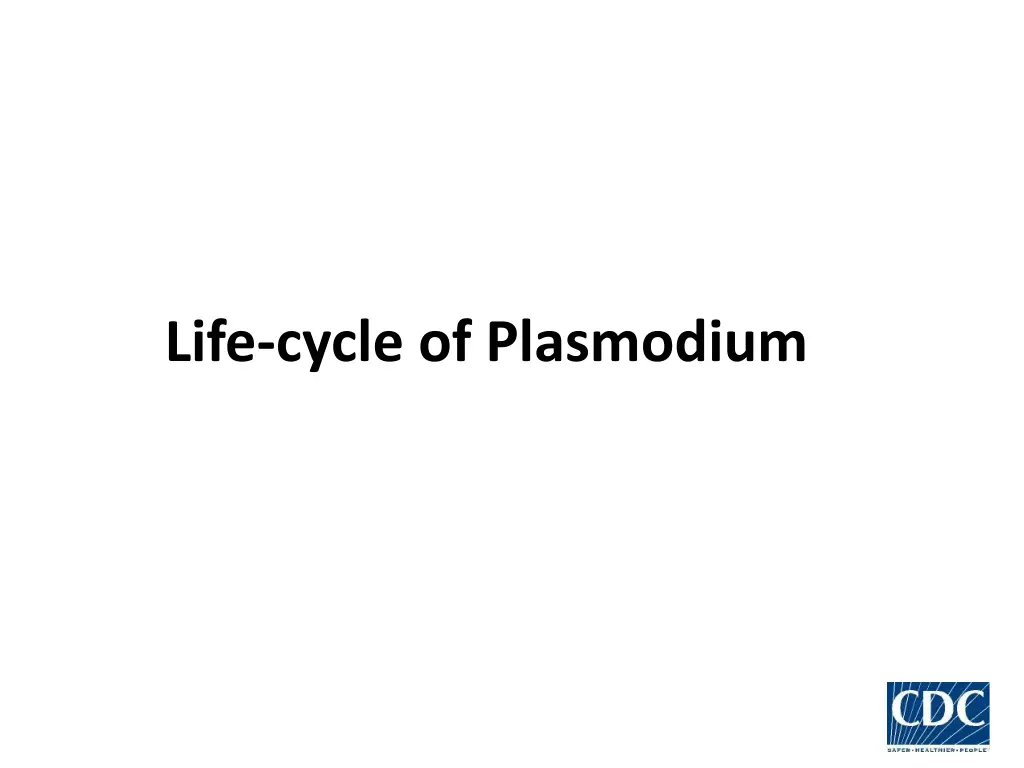 life cycle of plasmodium