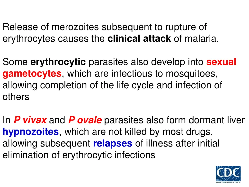 release of merozoites subsequent to rupture