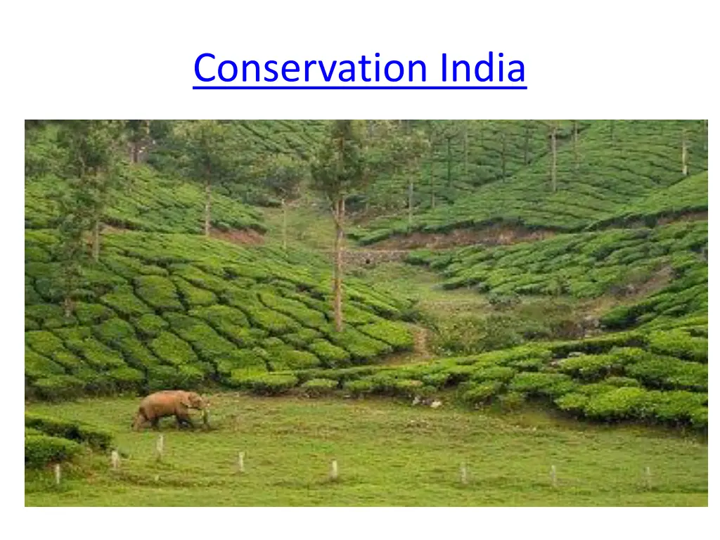 conservation india