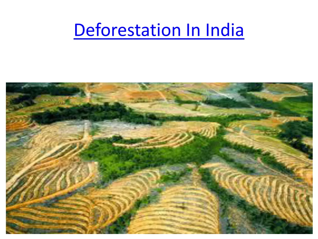 deforestation in india