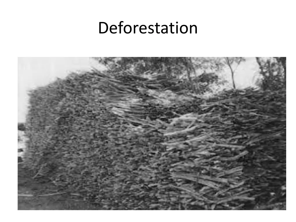 deforestation