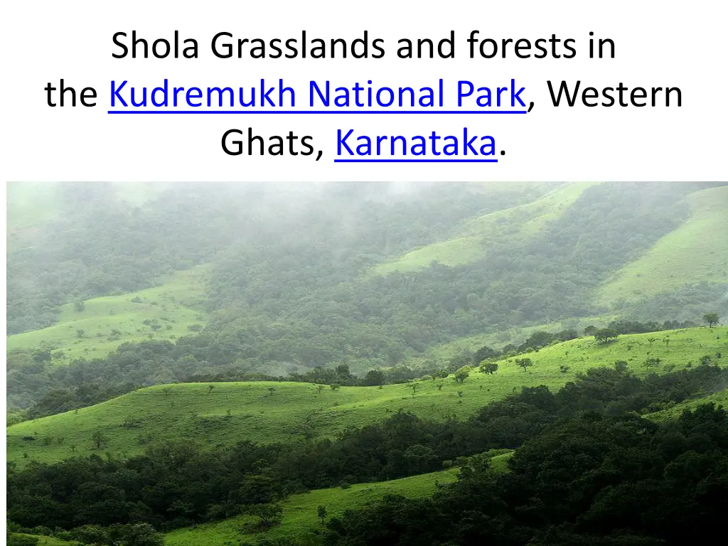 shola grasslands and forests in the kudremukh