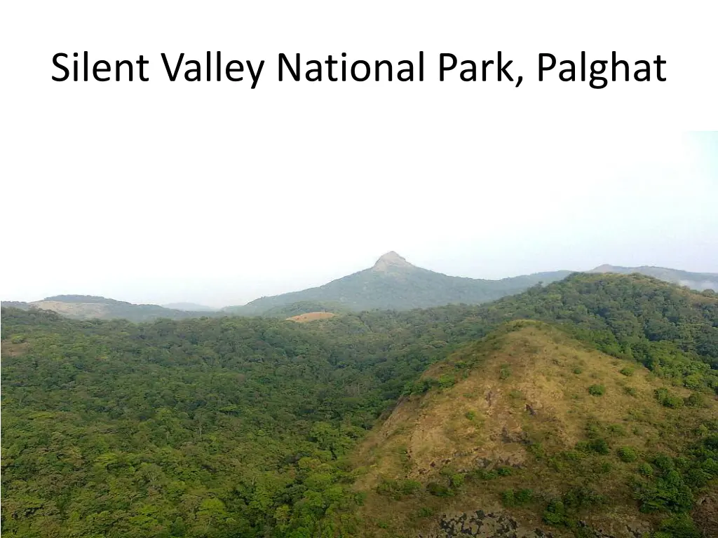 silent valley national park palghat