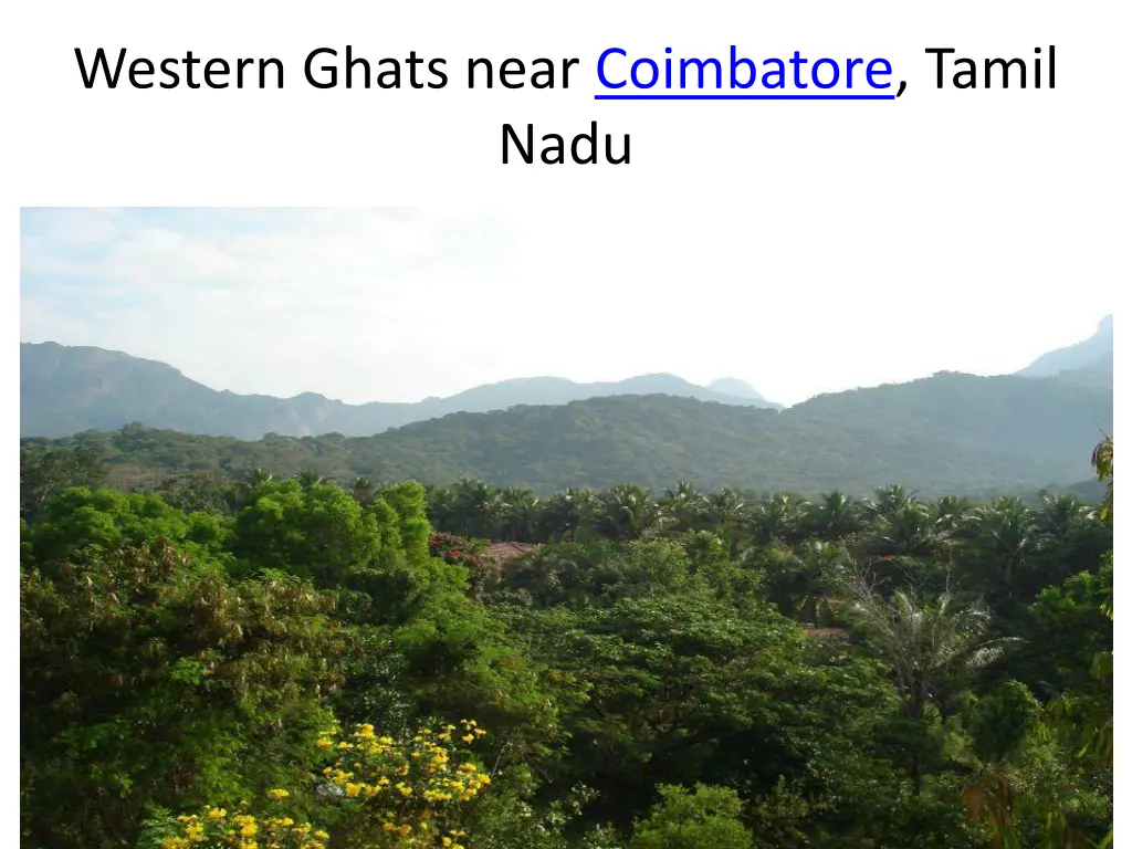 western ghats near coimbatore tamil nadu