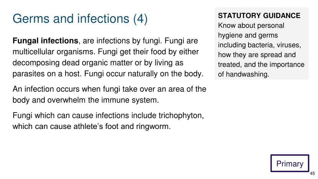 germs and infections 4