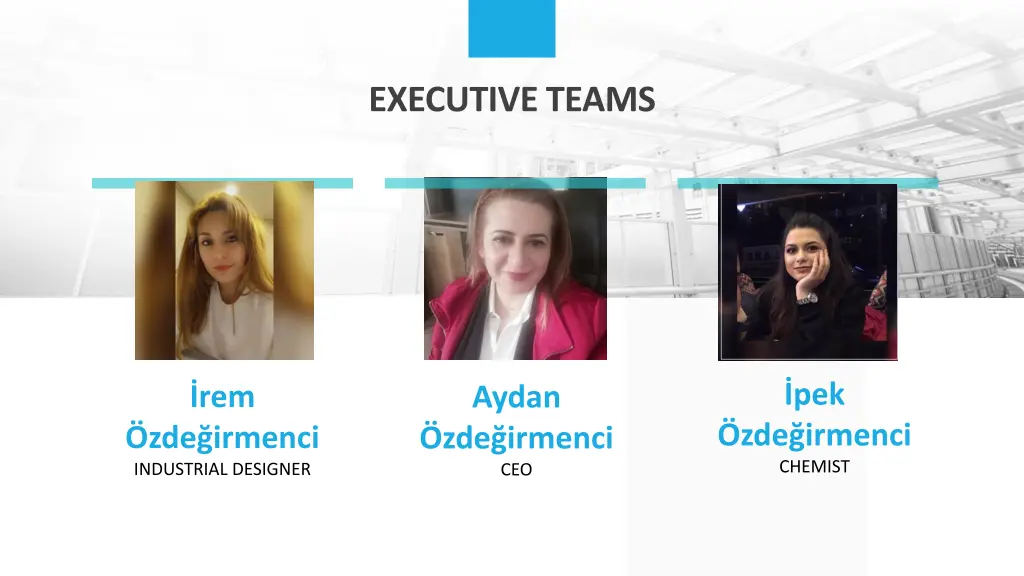 executive teams