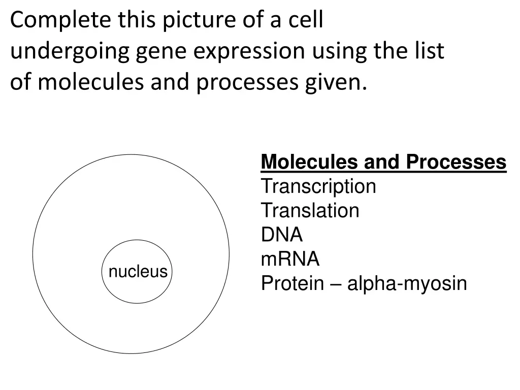 complete this picture of a cell undergoing gene