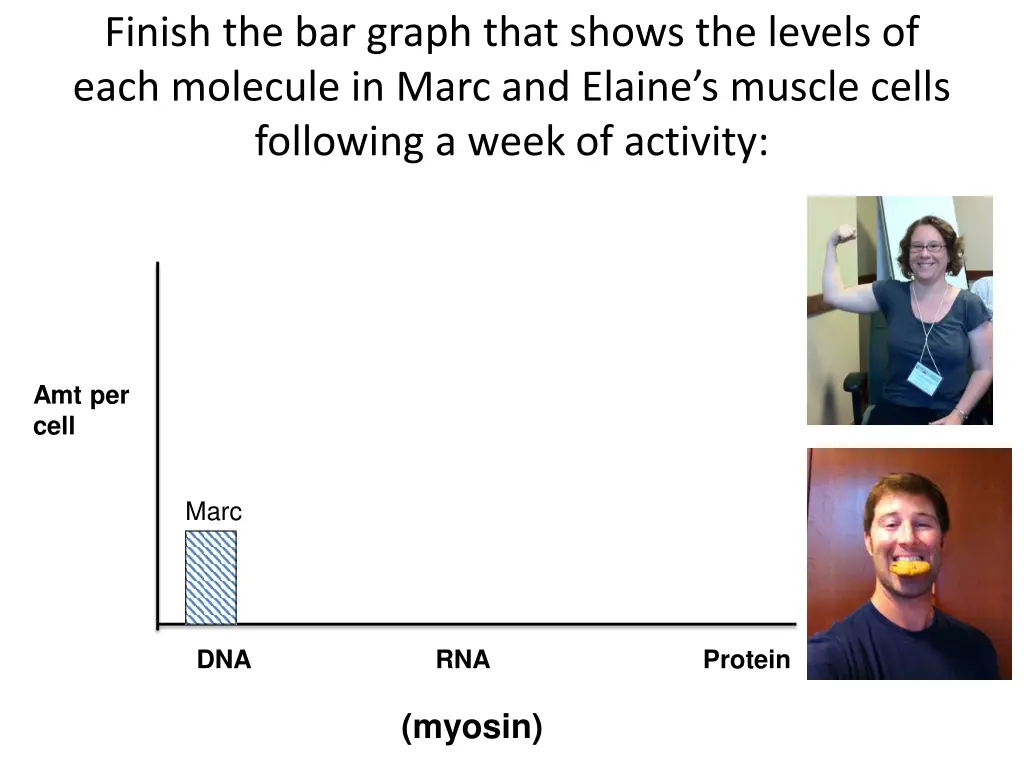 finish the bar graph that shows the levels