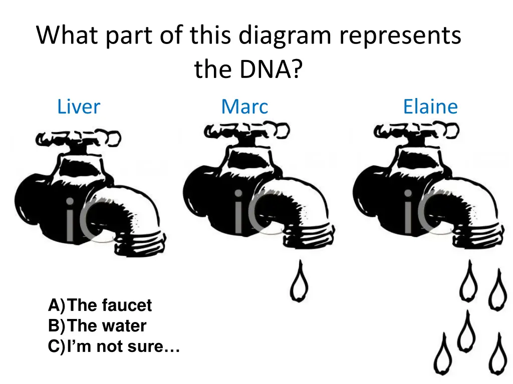 what part of this diagram represents