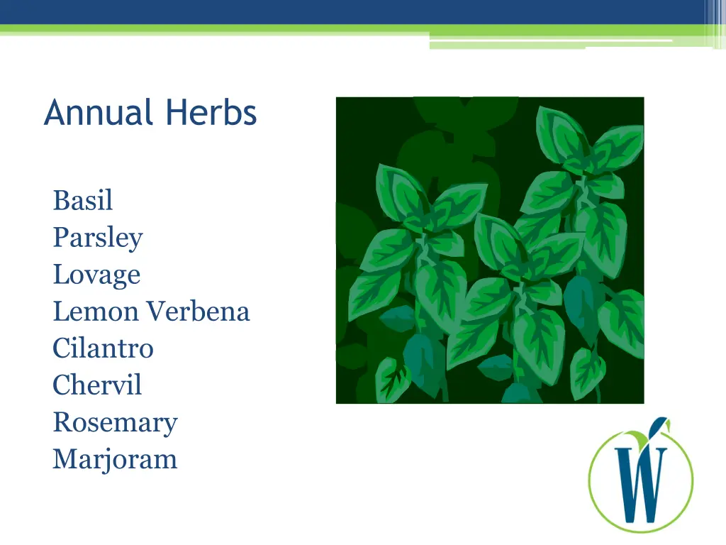 annual herbs