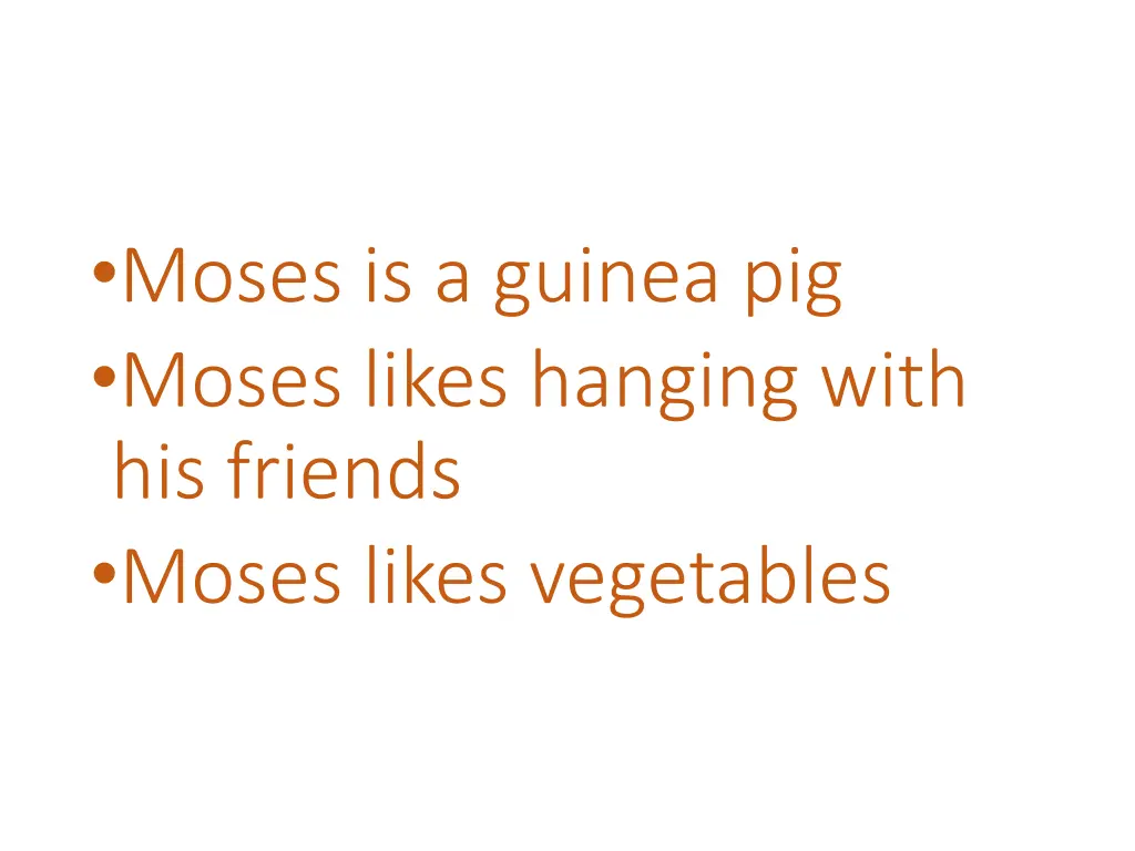 moses is a guinea pig moses likes hanging with