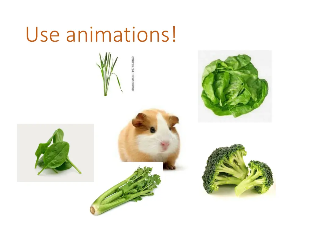 use animations