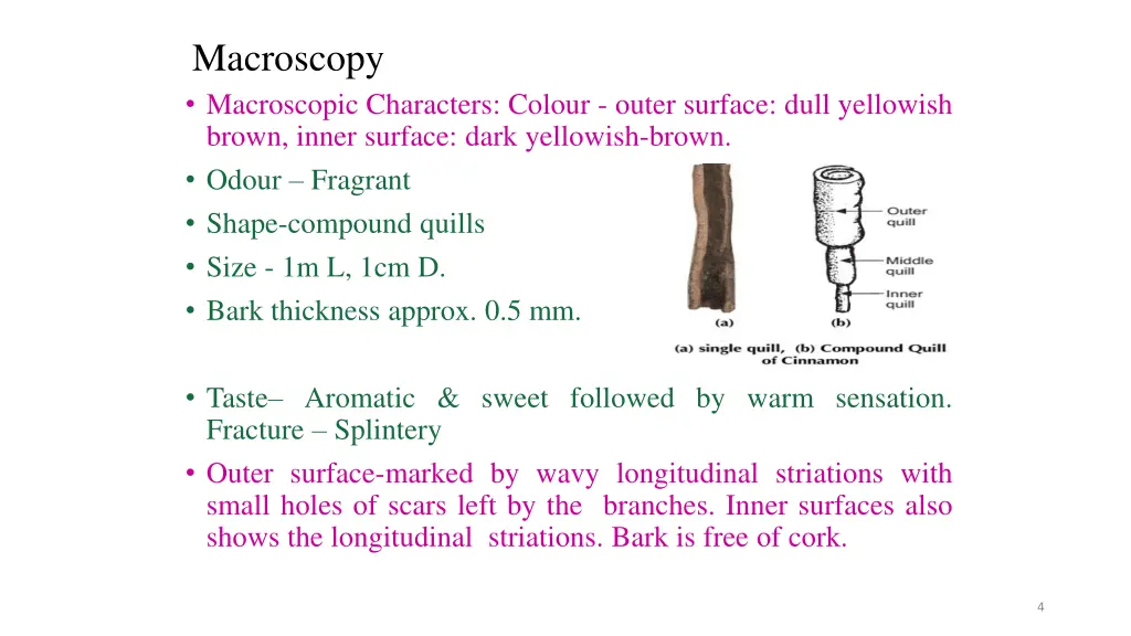 macroscopy macroscopic characters colour outer