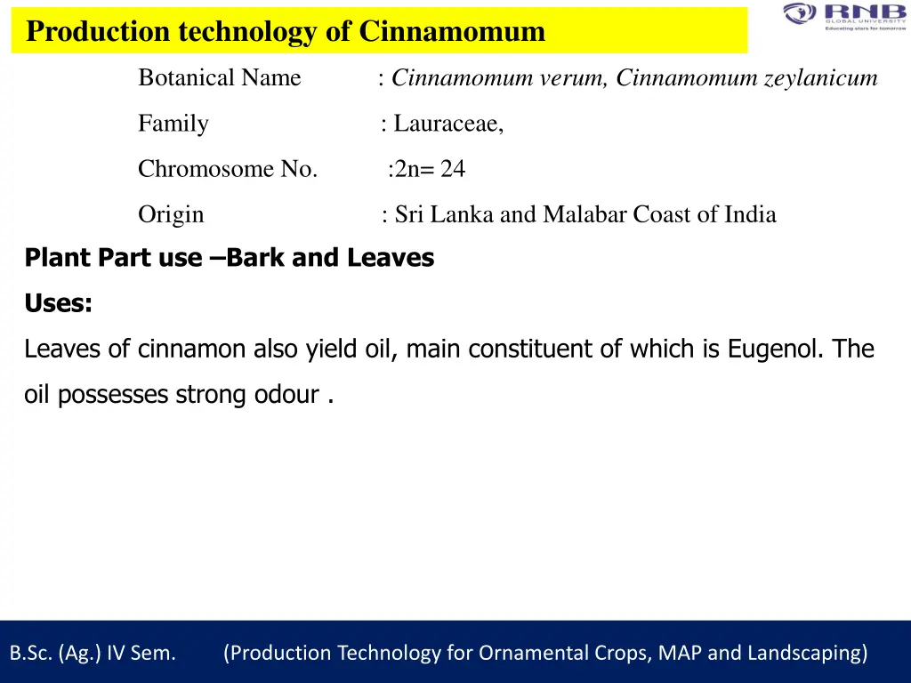 production technology of cinnamomum 1