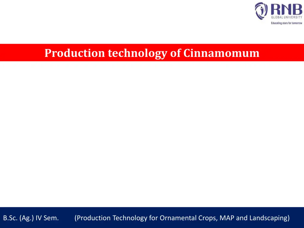 production technology of cinnamomum