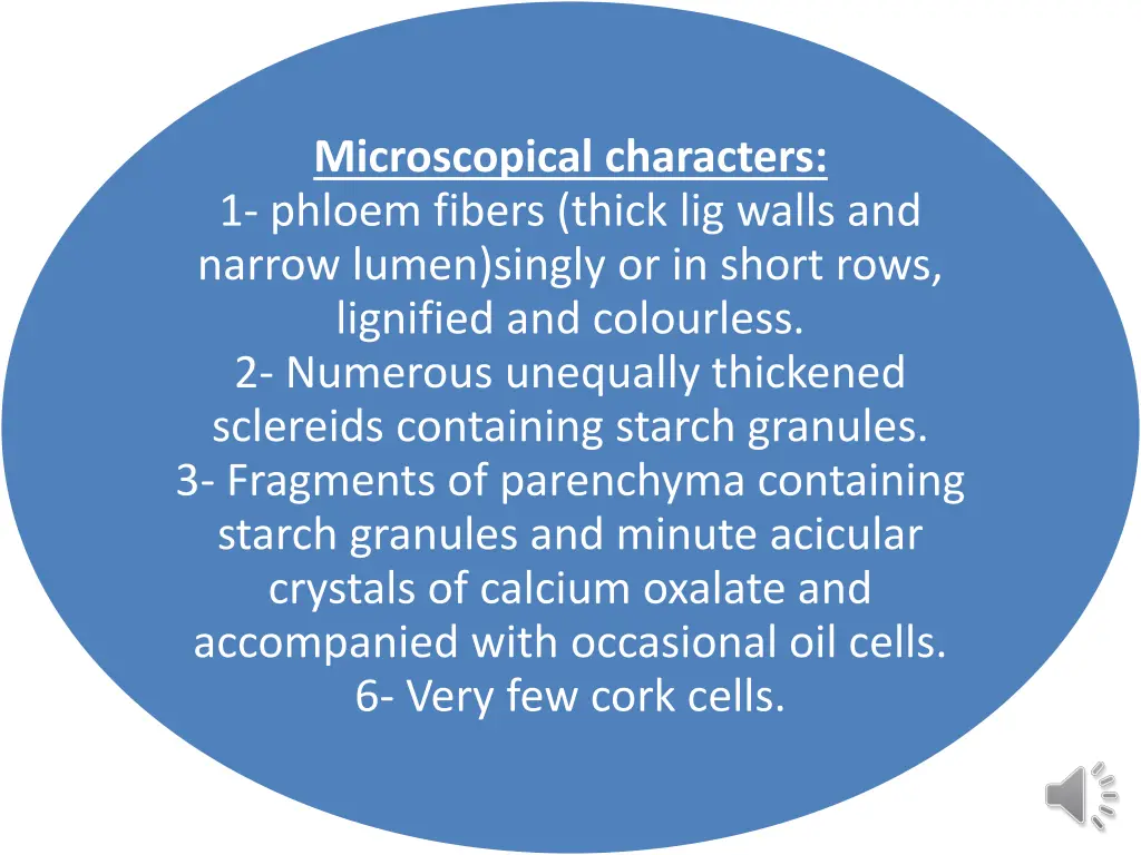 microscopical characters 1 phloem fibers thick