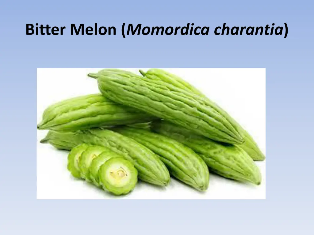 bitter melon momordica charantia