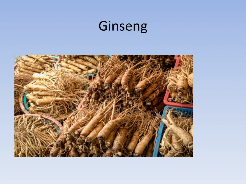 ginseng