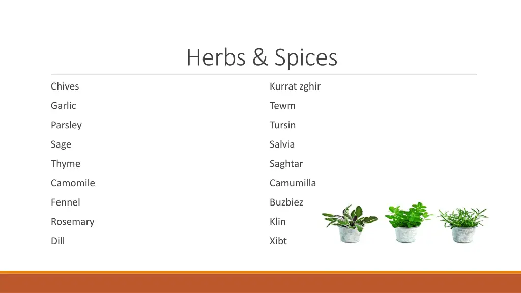 herbs spices 5