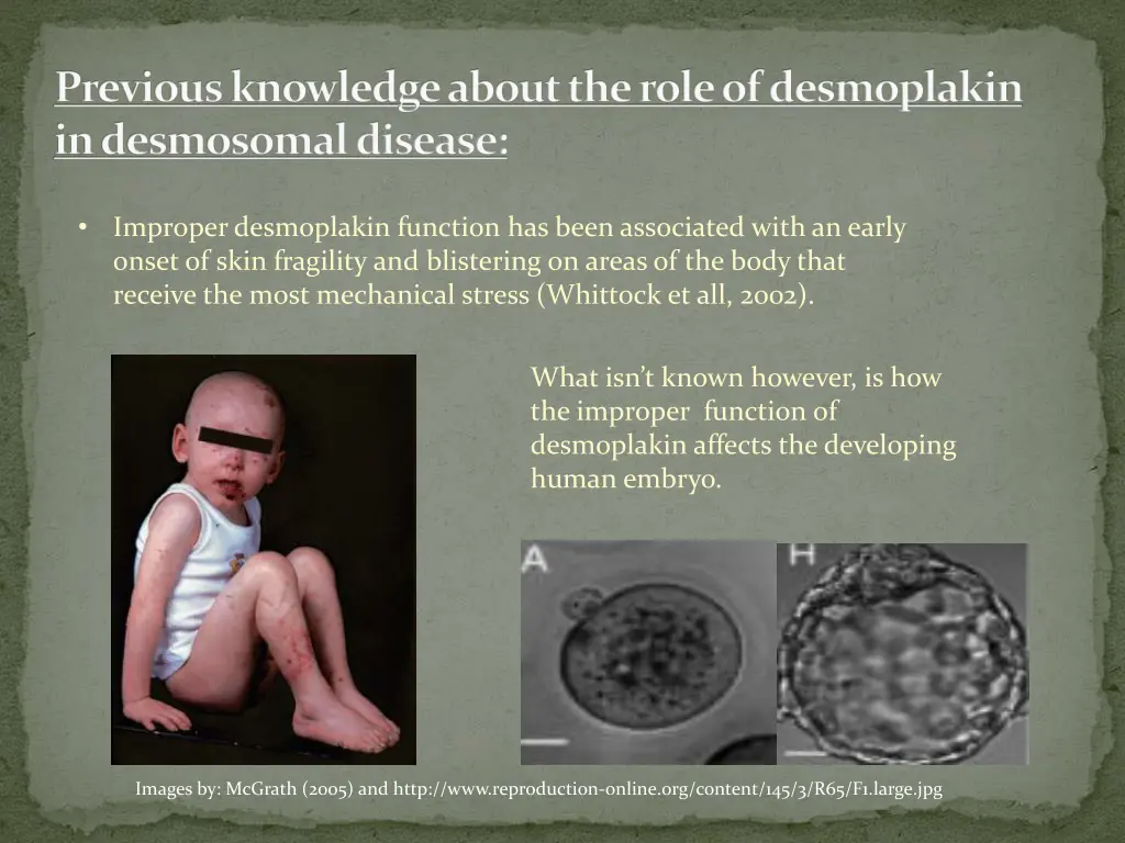 previous knowledge about the role of desmoplakin