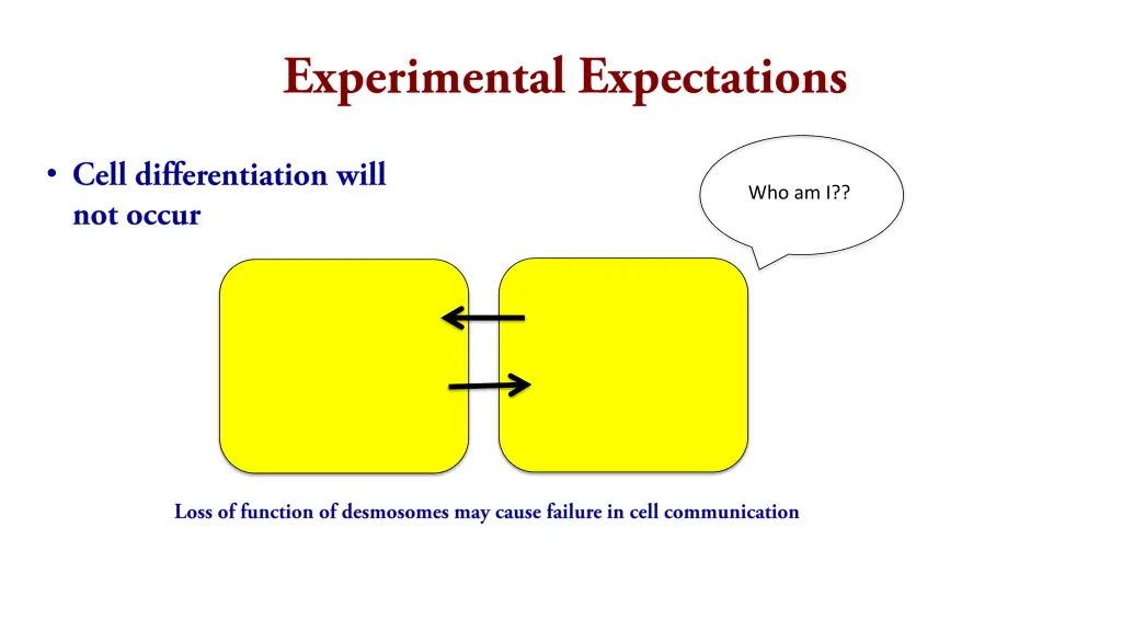 slide11