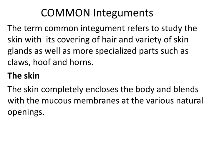 common integuments the term common integument