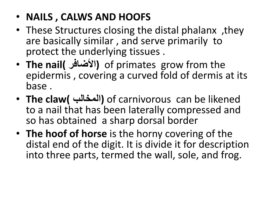 nails calws and hoofs these structures closing