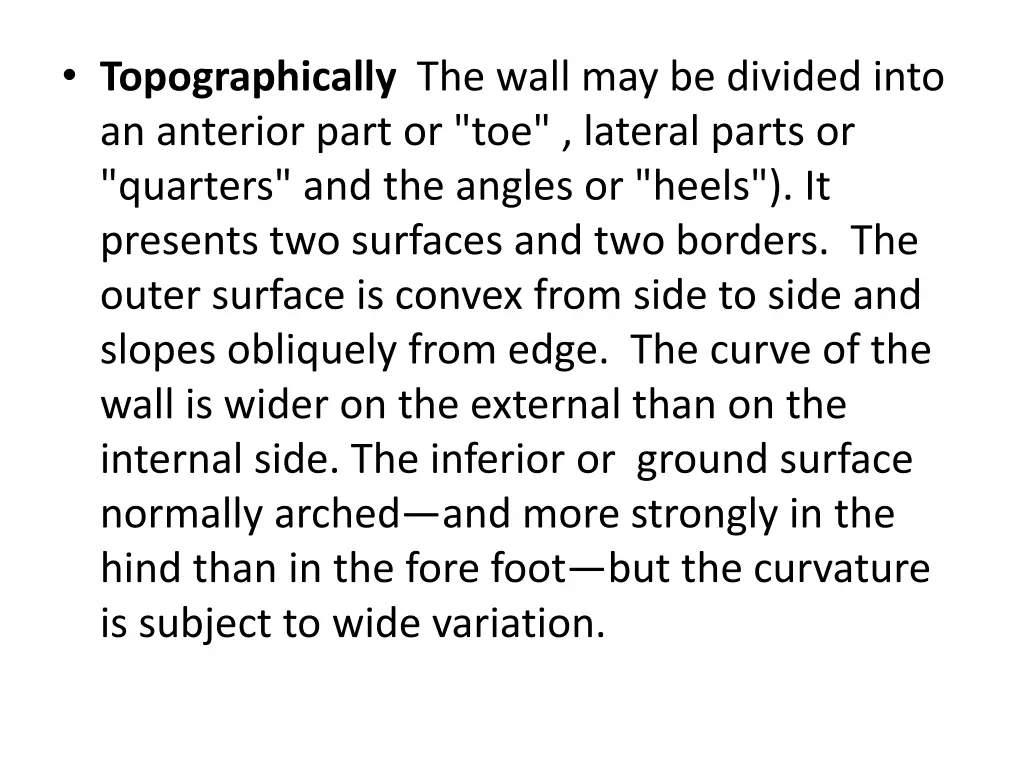 topographically the wall may be divided into