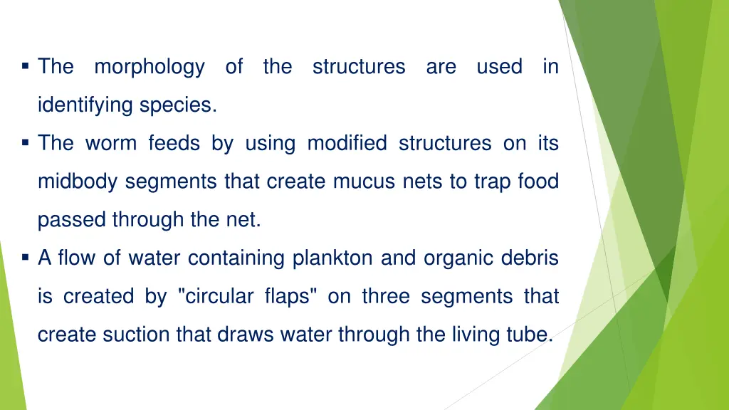 the morphology of the structures are used in