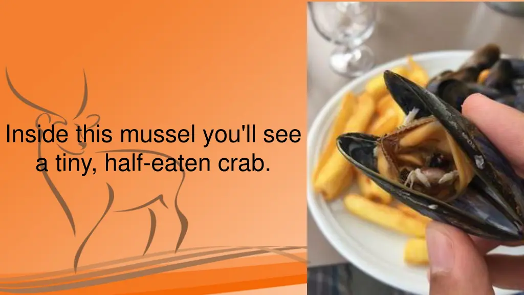 inside this mussel you ll see a tiny half eaten