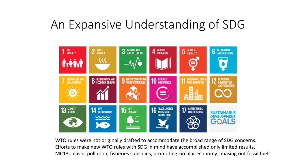 an expansive understanding of sdg