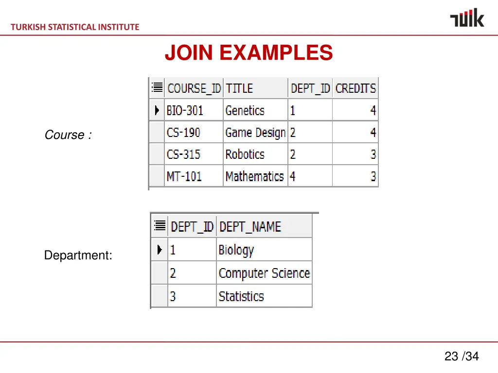 turkish statistical institute 21