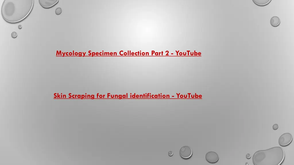 mycology specimen collection part 2 youtube