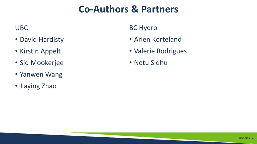 co authors partners