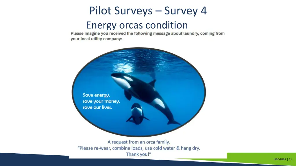 pilot surveys survey 4 energy orcas condition