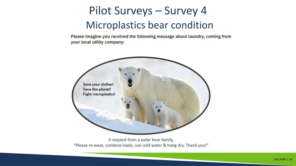 pilot surveys survey 4 microplastics bear